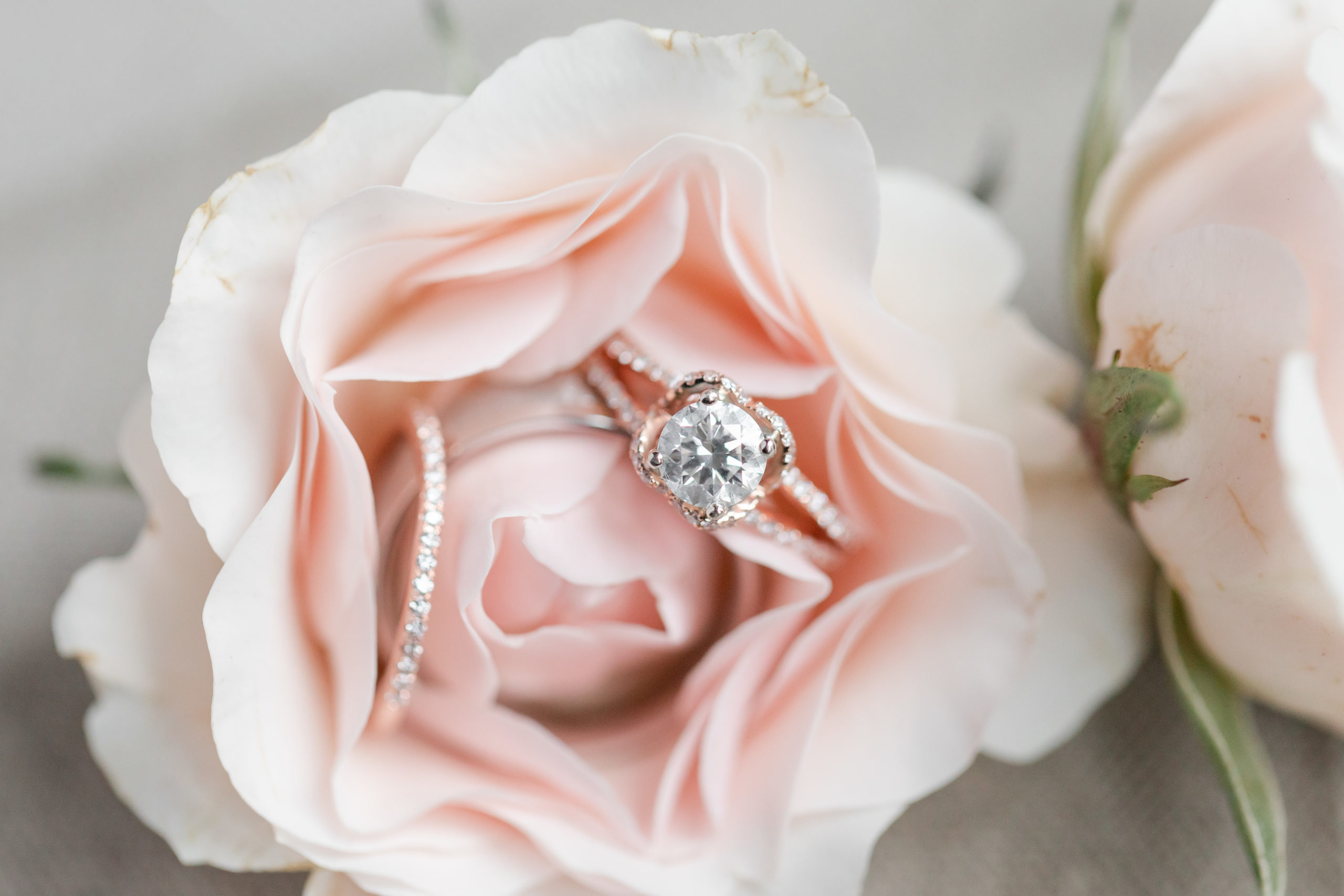 wedding-ring-detail-photo
