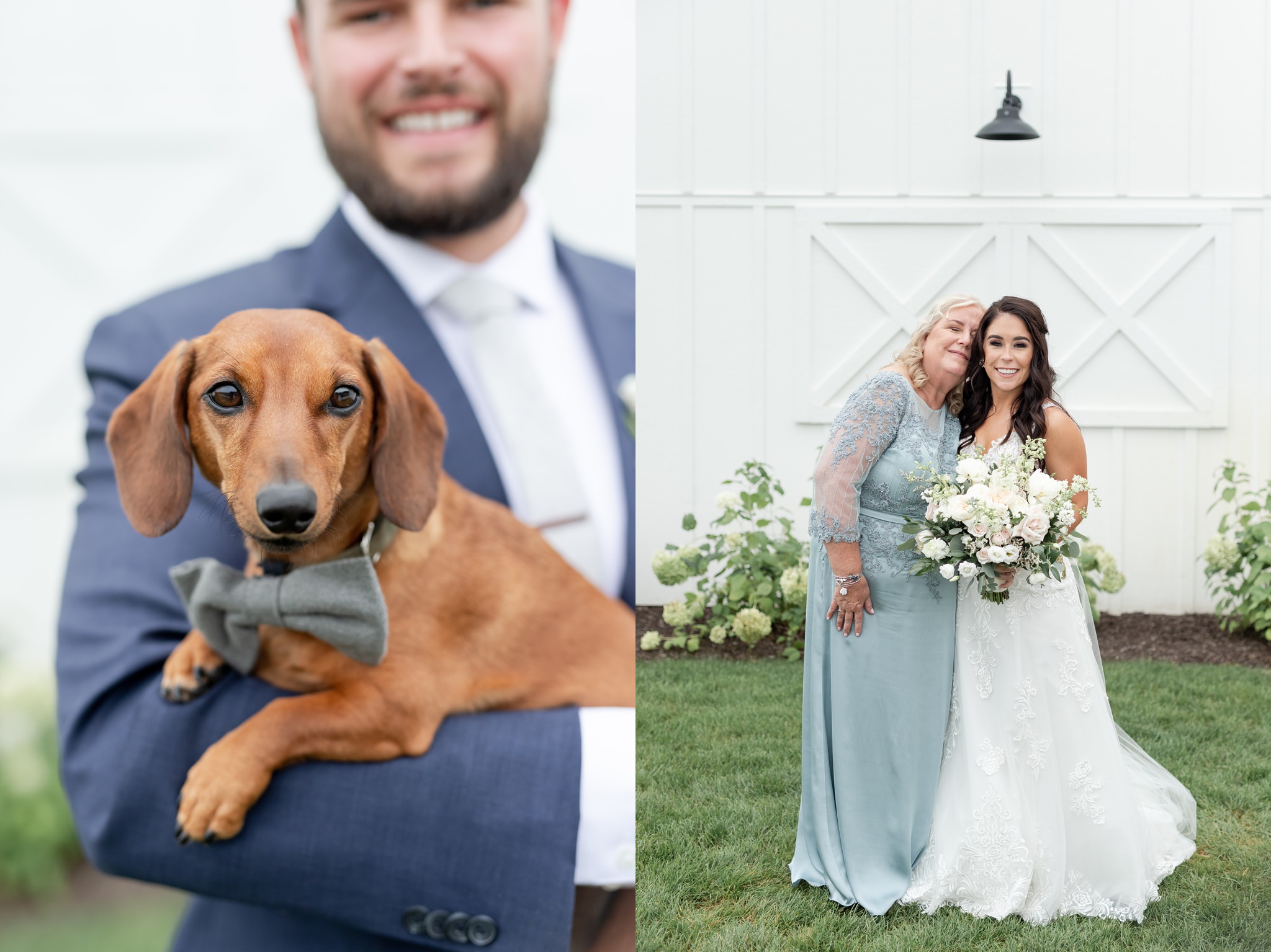 dog-bowtie-wedding
