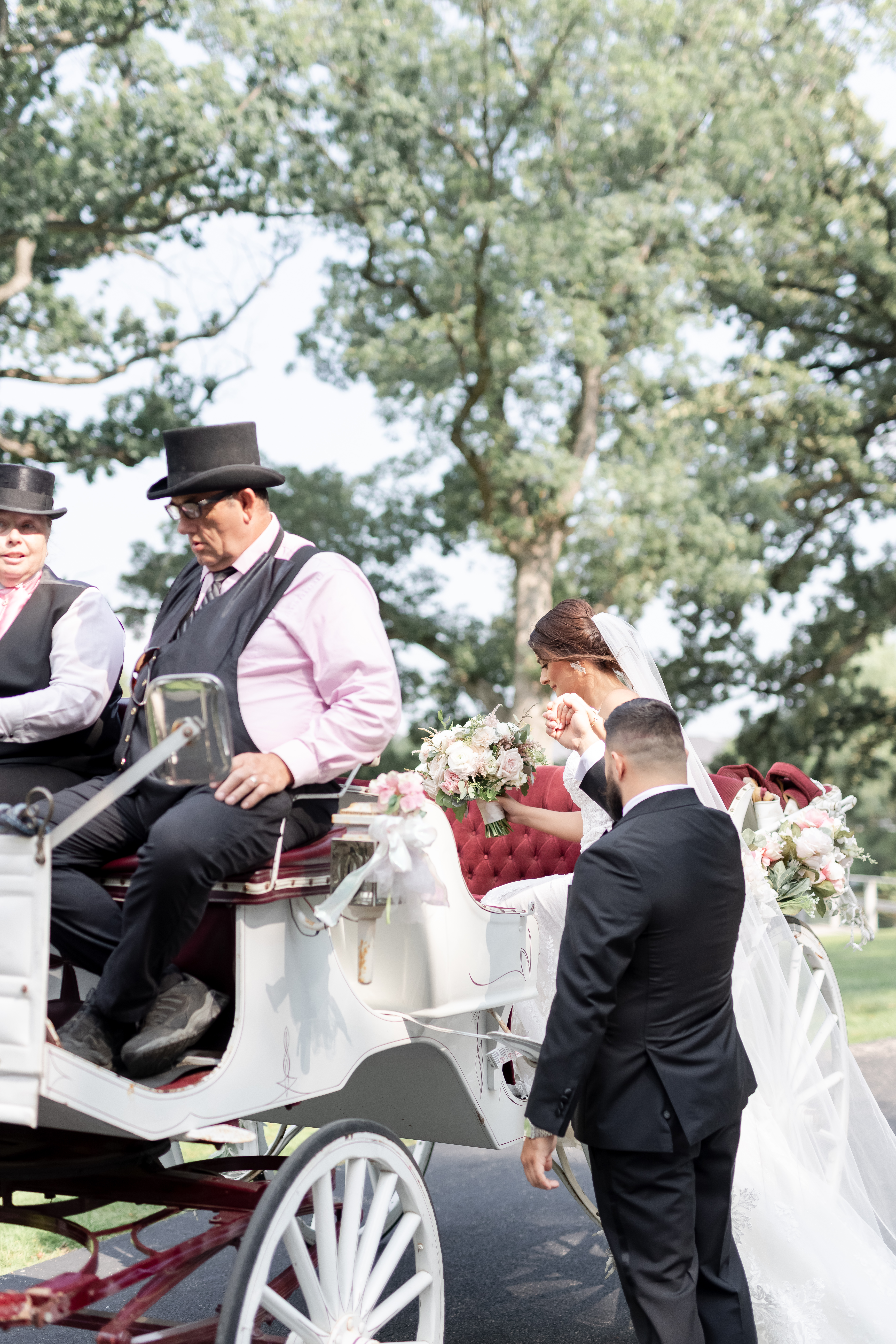 bride-groom-horse-carriage
