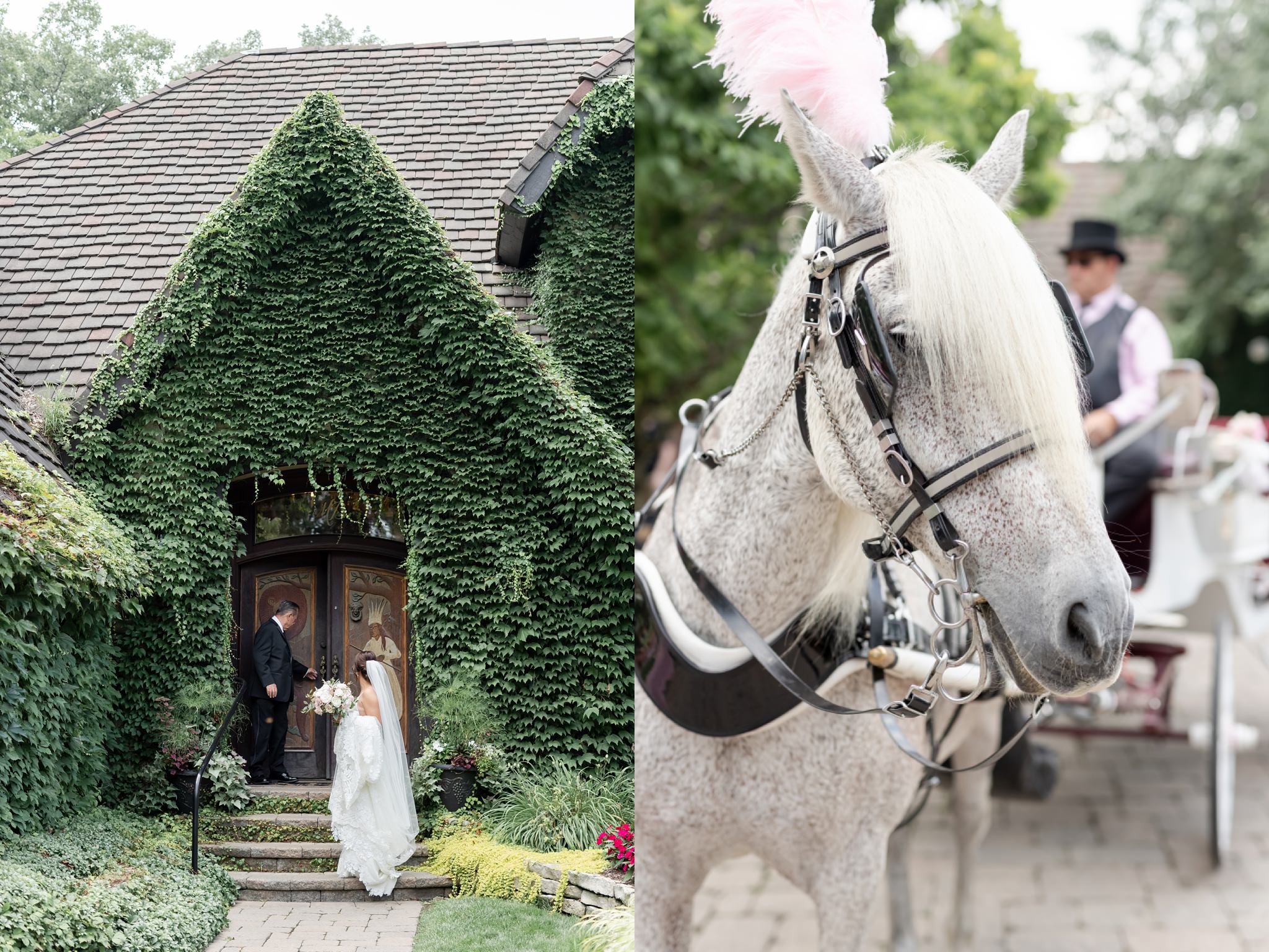 horse-drawn-carriage-wedding