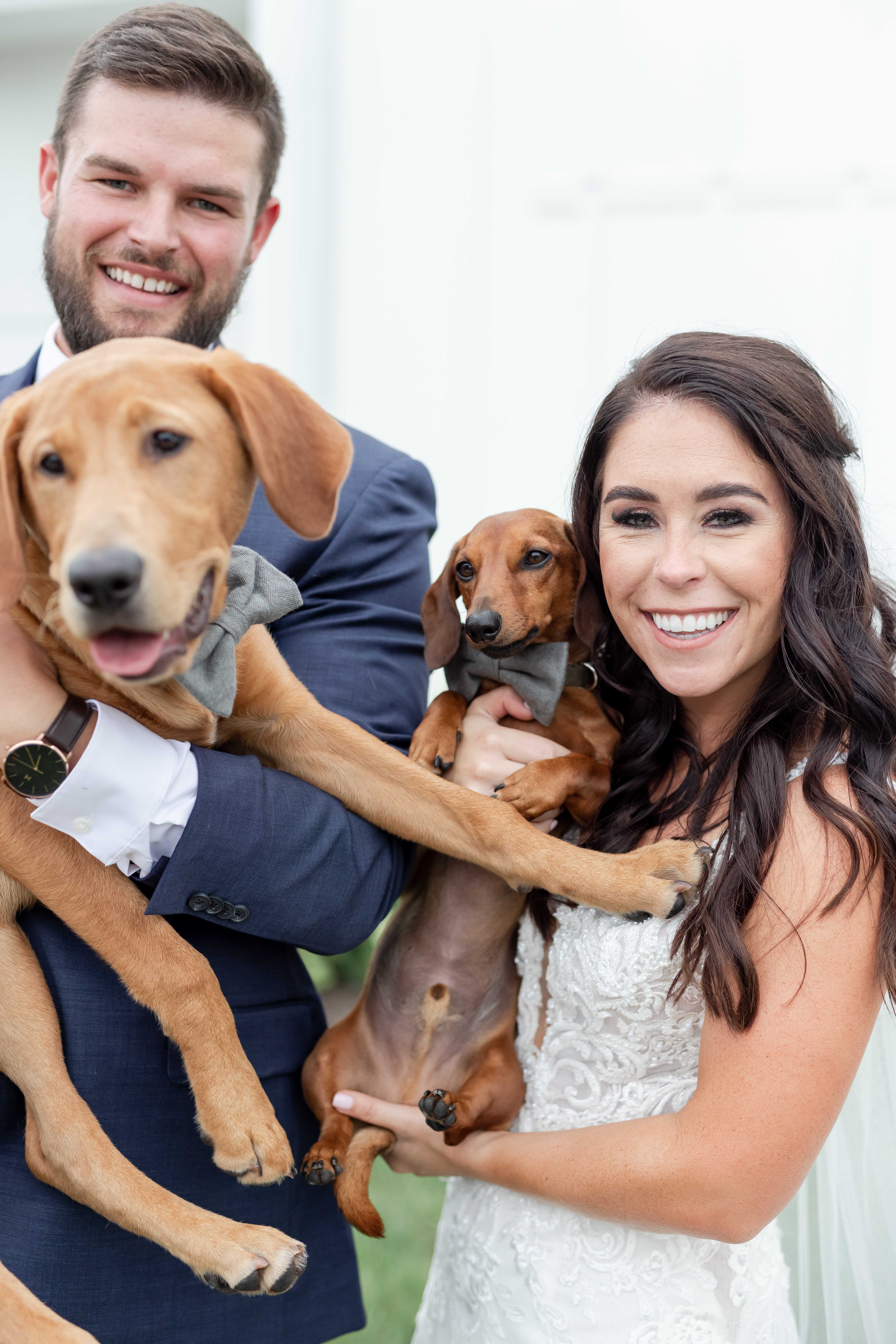 bride-groom-dogs