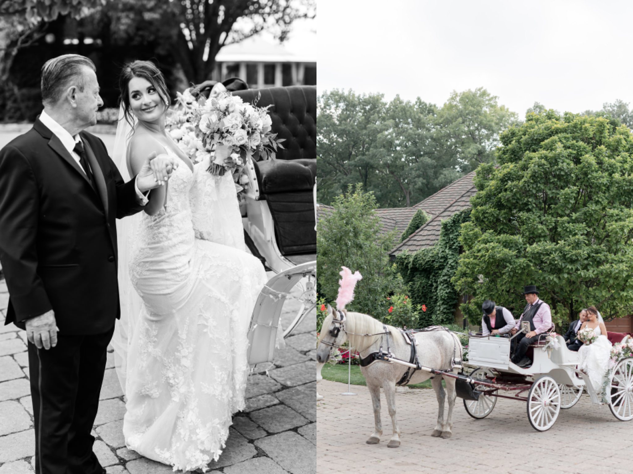 horse-drawn-carriage-wedding-ceremony