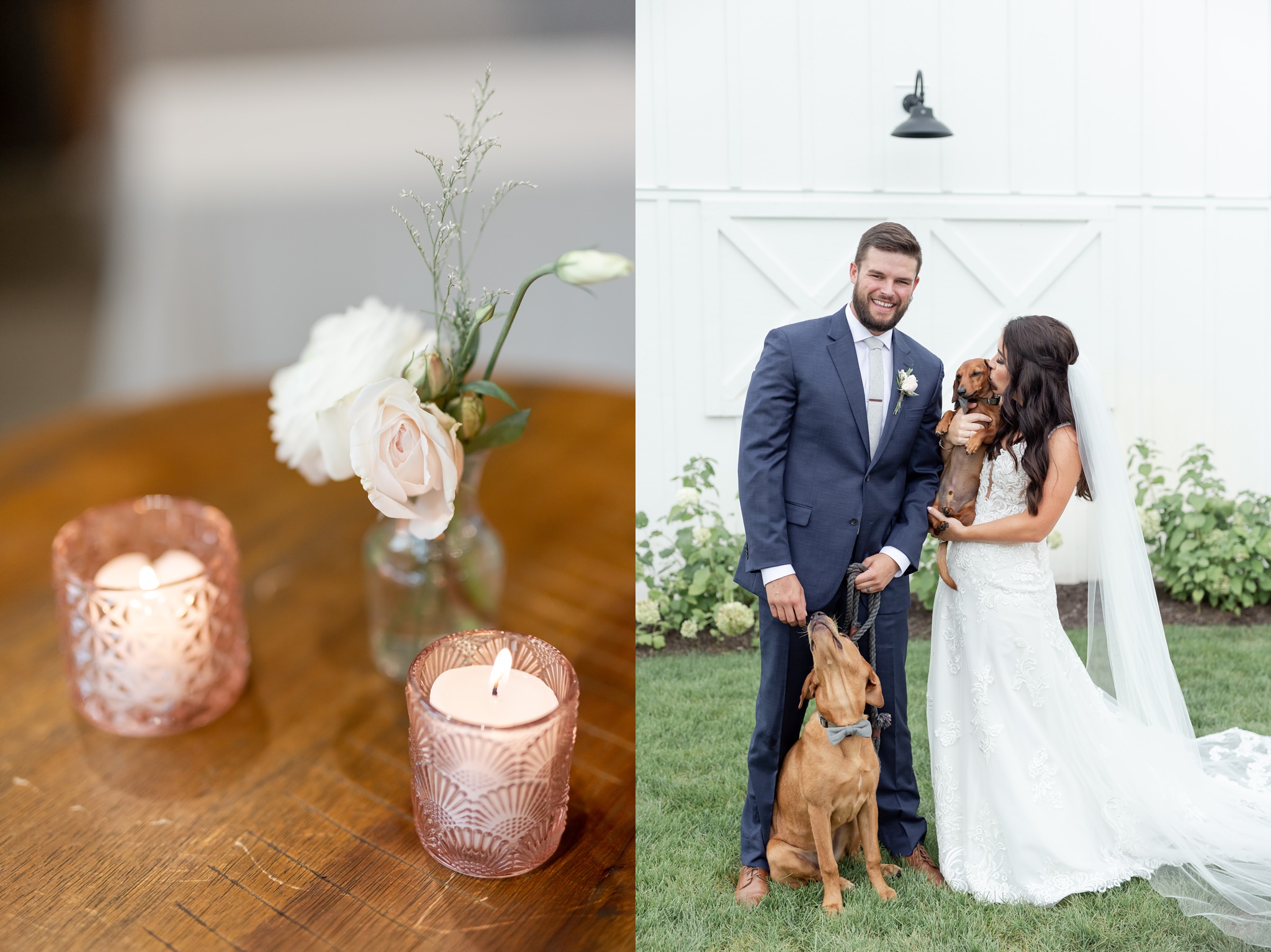 dog-bowties-couple-wedding