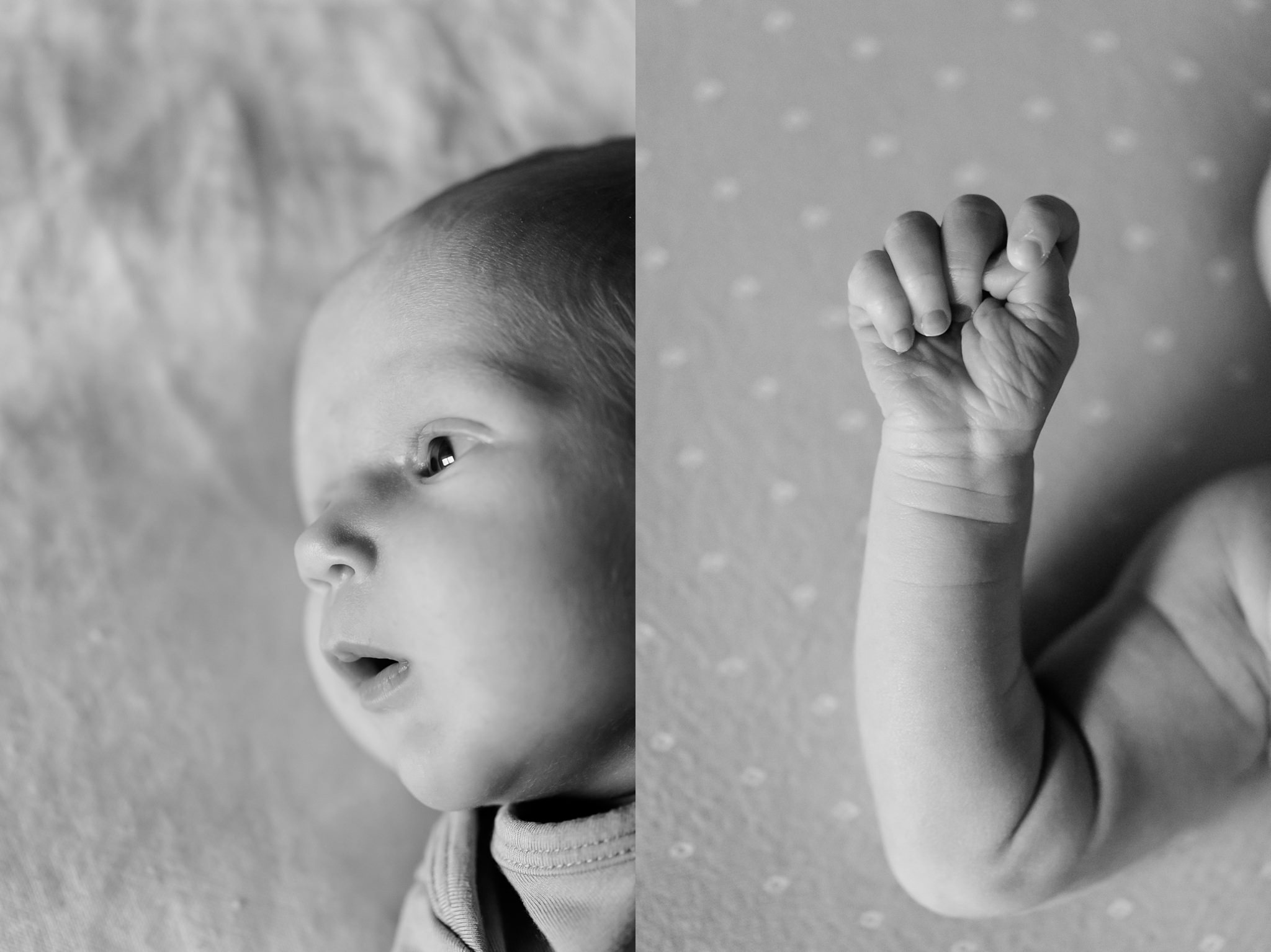 newborn-photography-madison