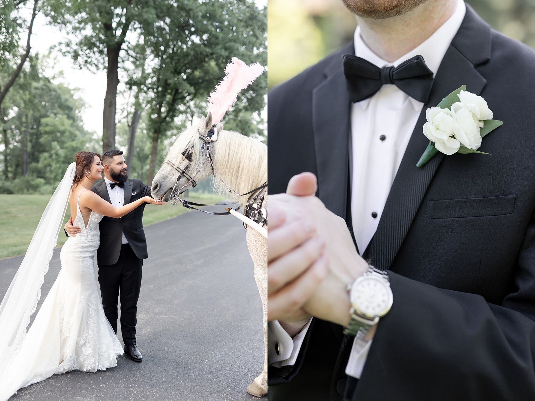 bride-groom-horse-carriage