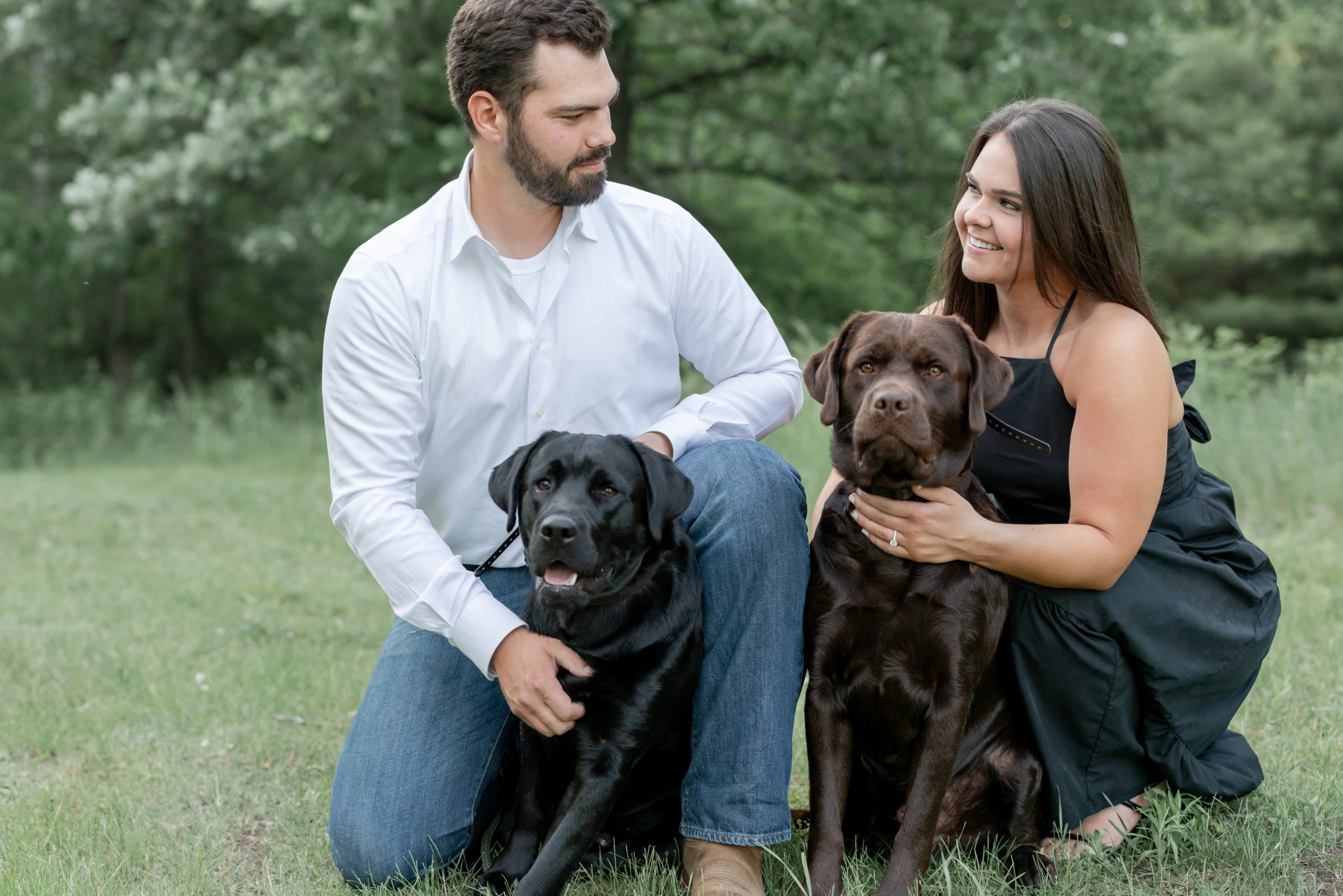 engagement-session-dogs